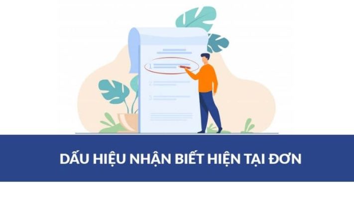 dấu hiệu nhận biết thì hiện tại đơn