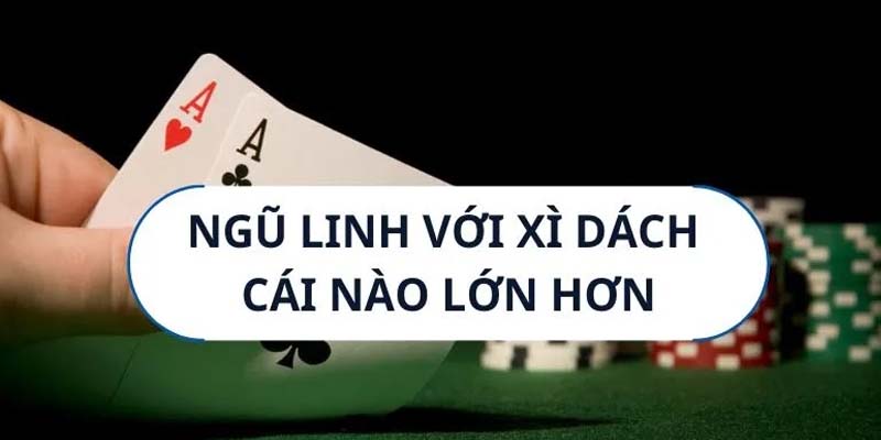 Blackjack có chơi Ngũ Linh không - Câu hỏi dành cho người mới