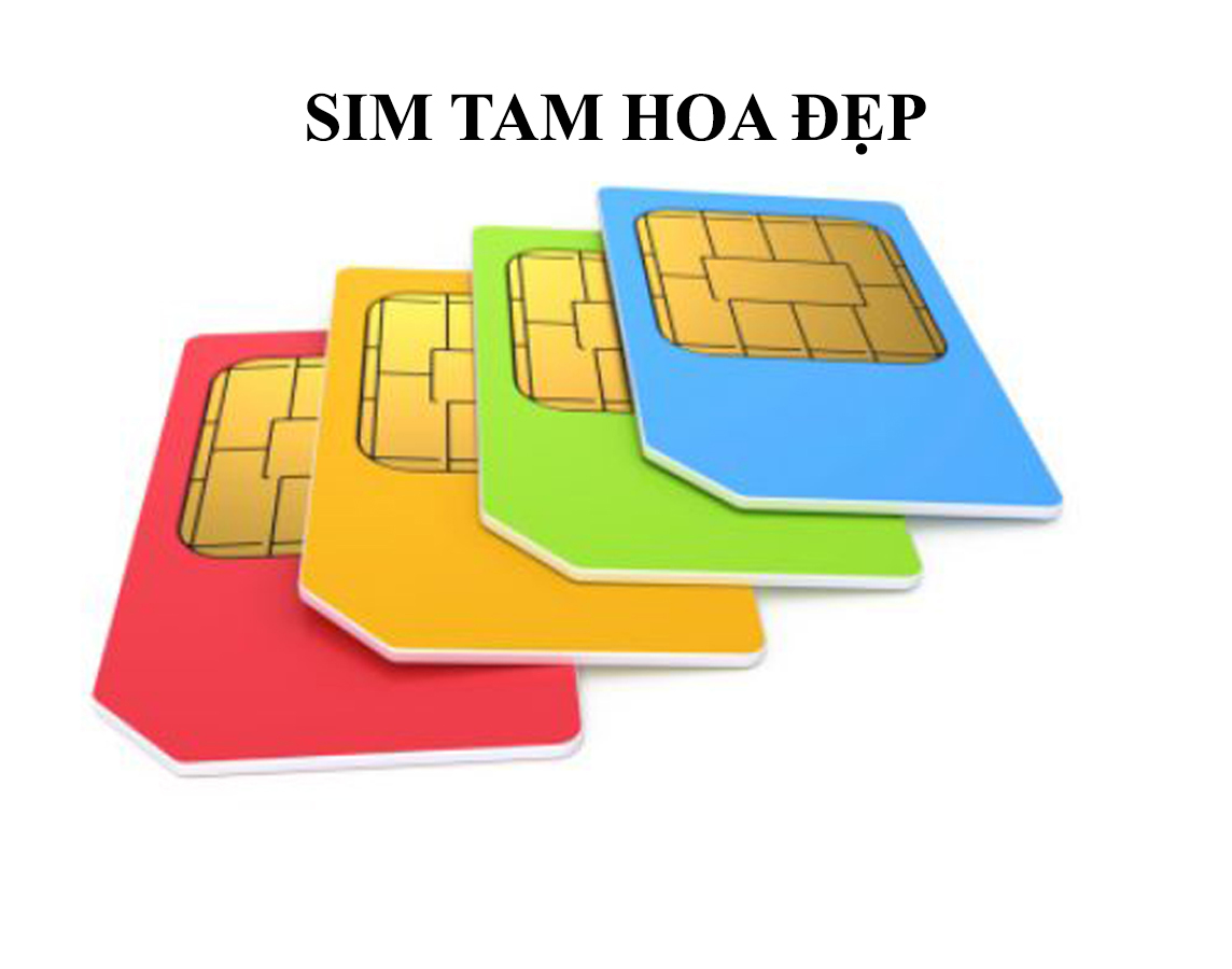 Sim tam hoa đẹp - Phụ kiện Việt