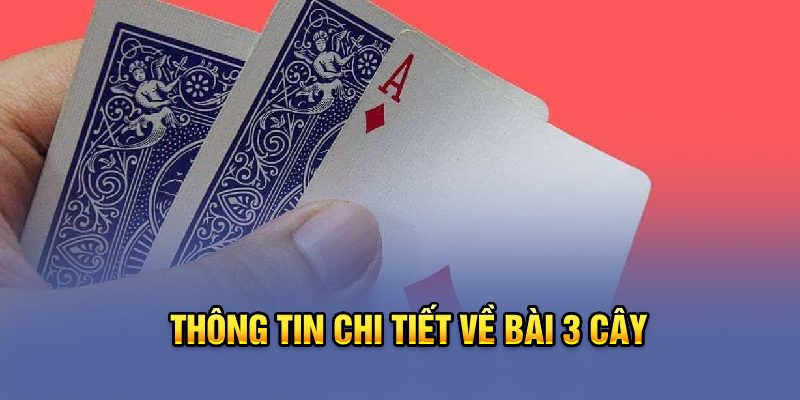 Thông tin chi tiết về bài học 3 lá bài